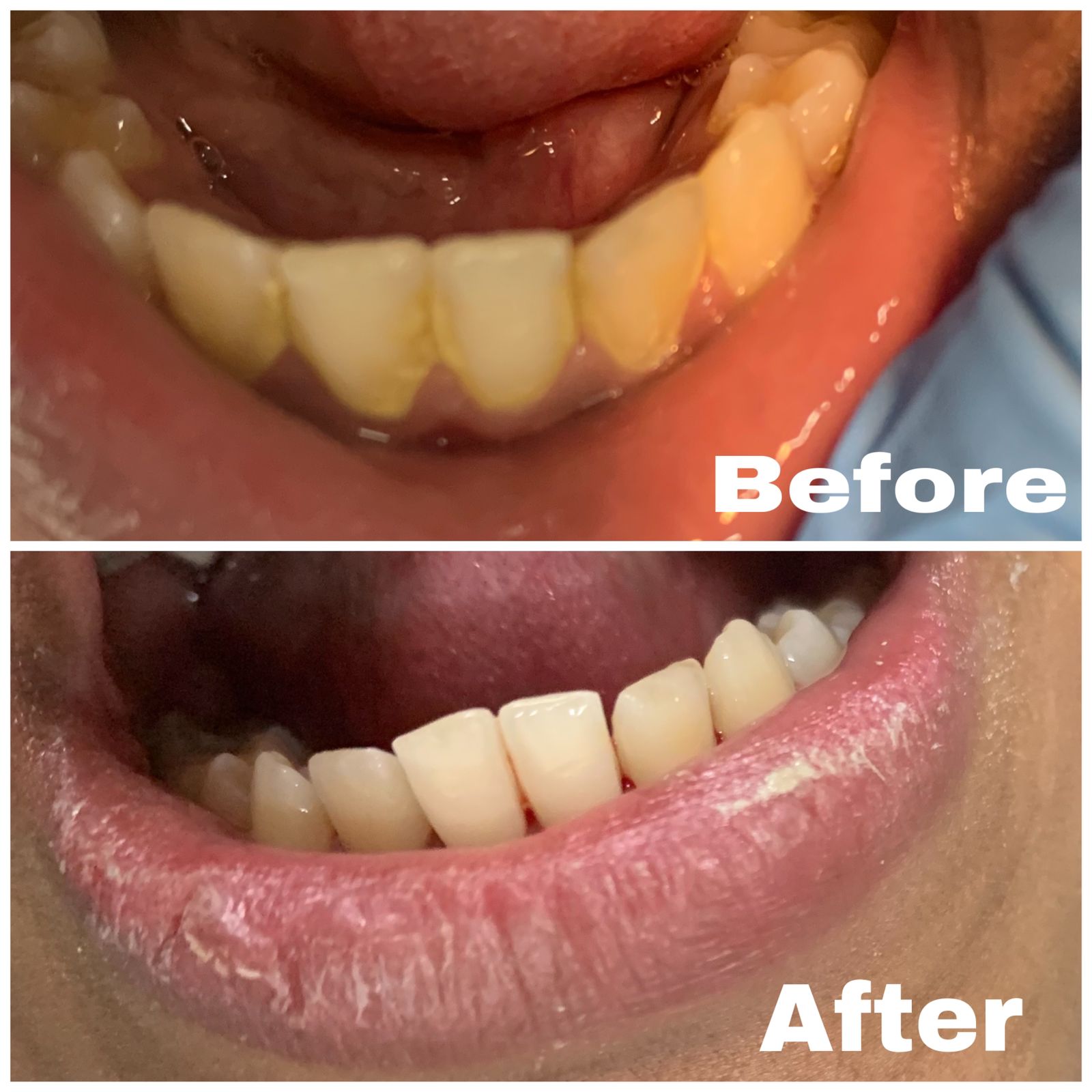 WhatsApp Image 2023-03-11 at 01.12.17