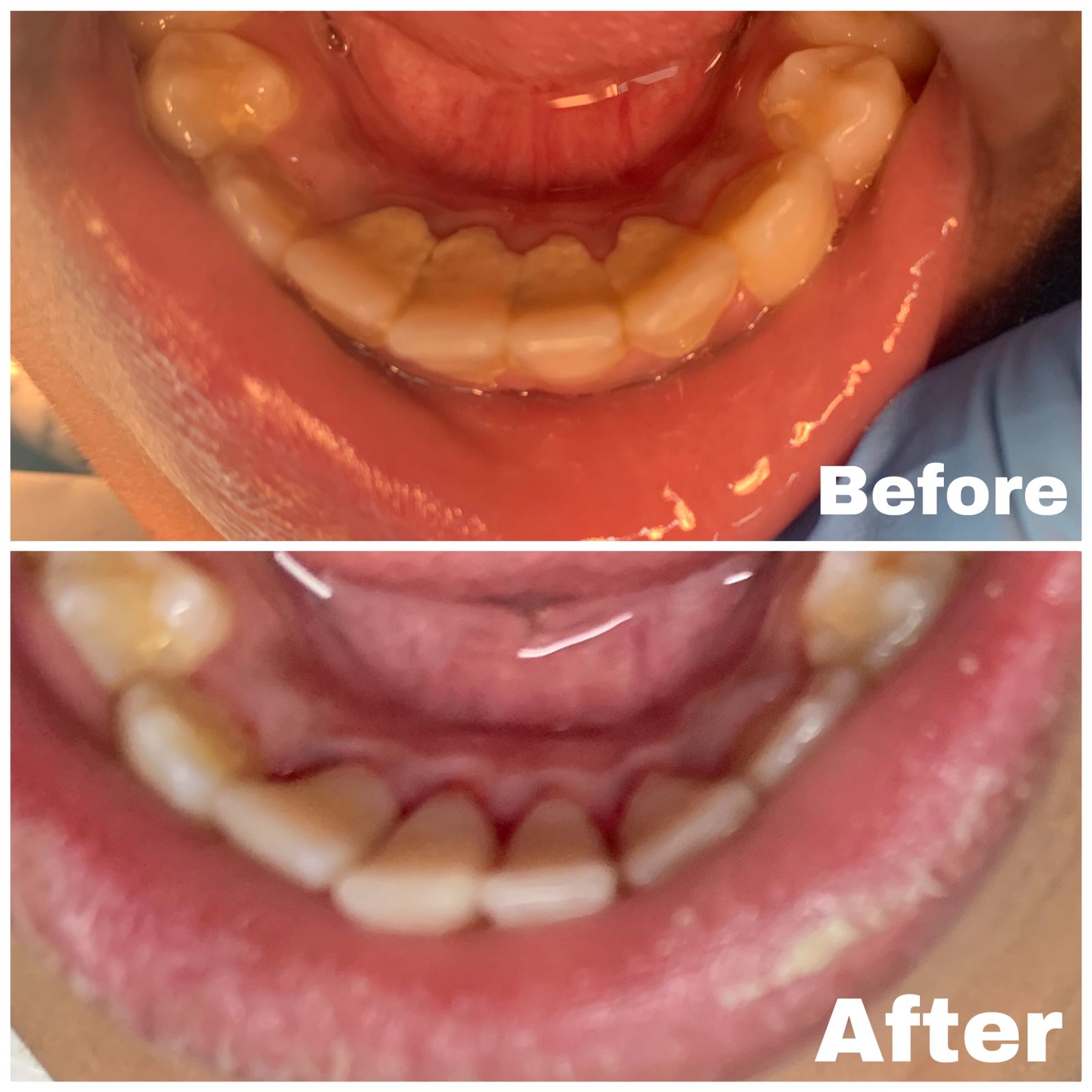 WhatsApp Image 2023-03-11 at 01.12.36